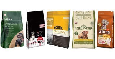 mejores piensos para perros