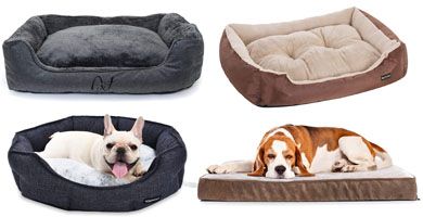 Mejores camas para perros medianos