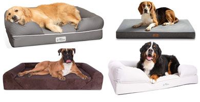 Mejor cama del 2021 para perro grande