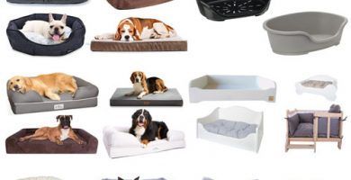 Ls mejores cama para perros