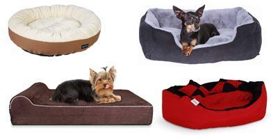 Mejor cama del 2021 para perros pequeños